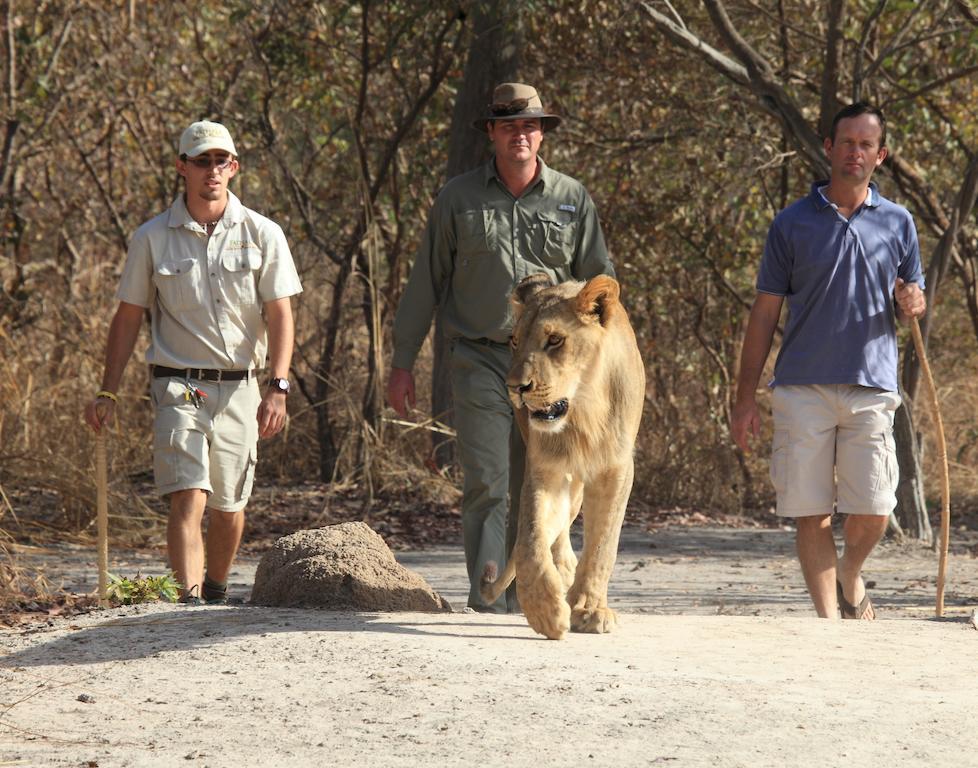 Fathala Wildlife Reserve Toubakouta Exteriör bild